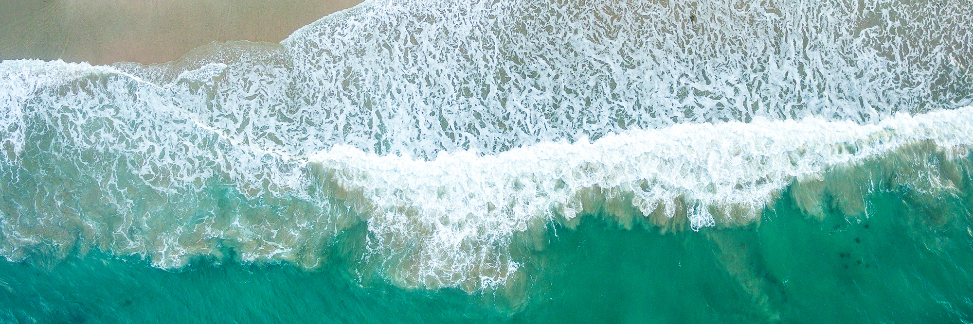 Key insights for insurers: The first wave of climate statements  Desktop Image