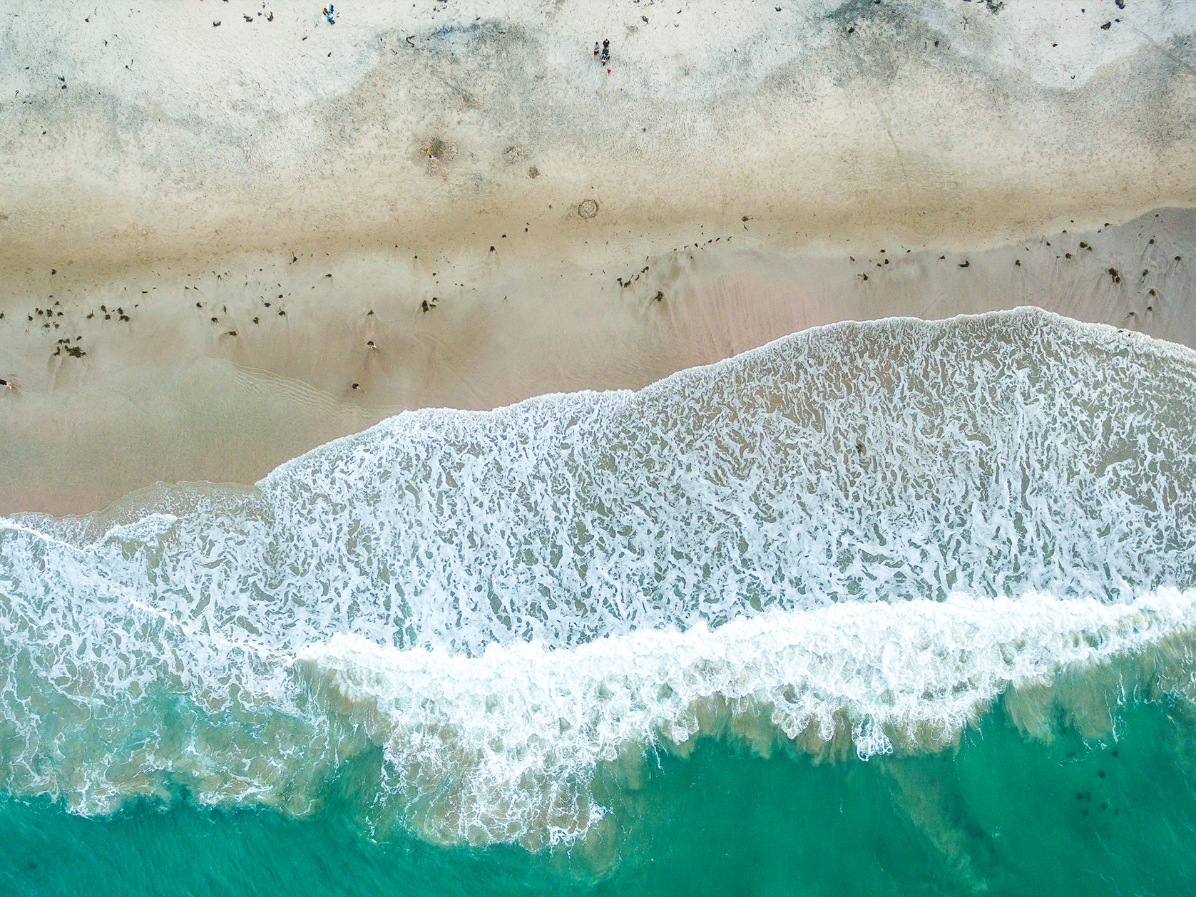 Councils favour DAPP to get on with adaptation at the local level Mobile Image
