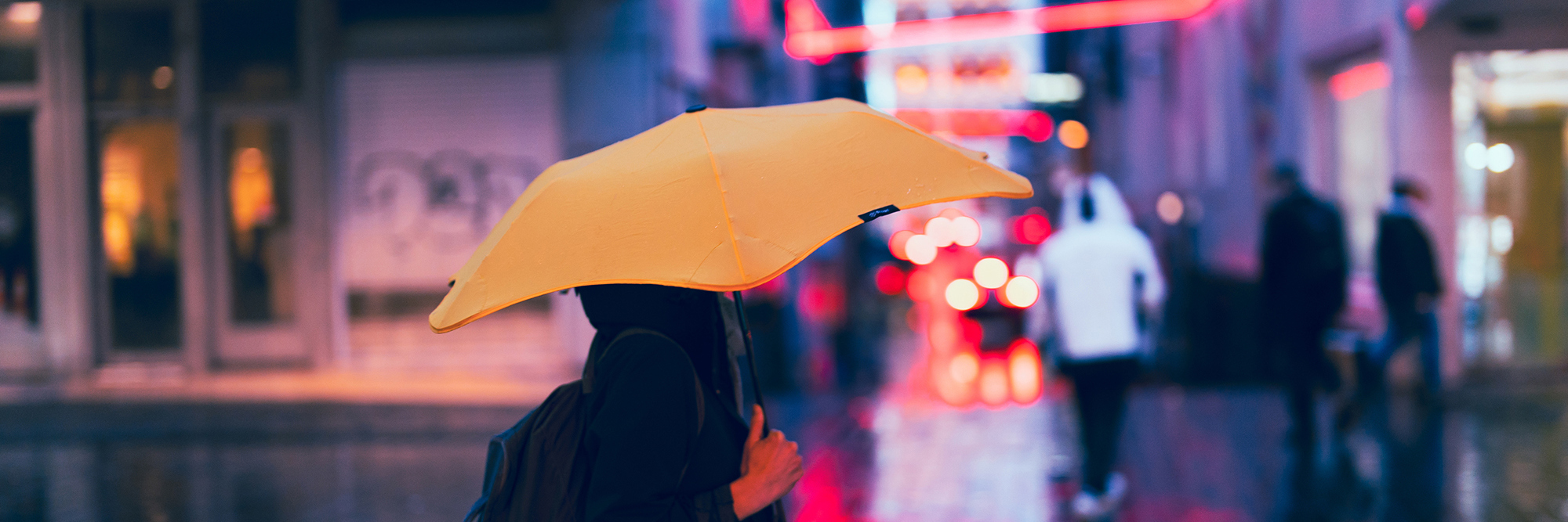 Insights from the NZILA Conference: Insurance, climate change and the law  Desktop Image