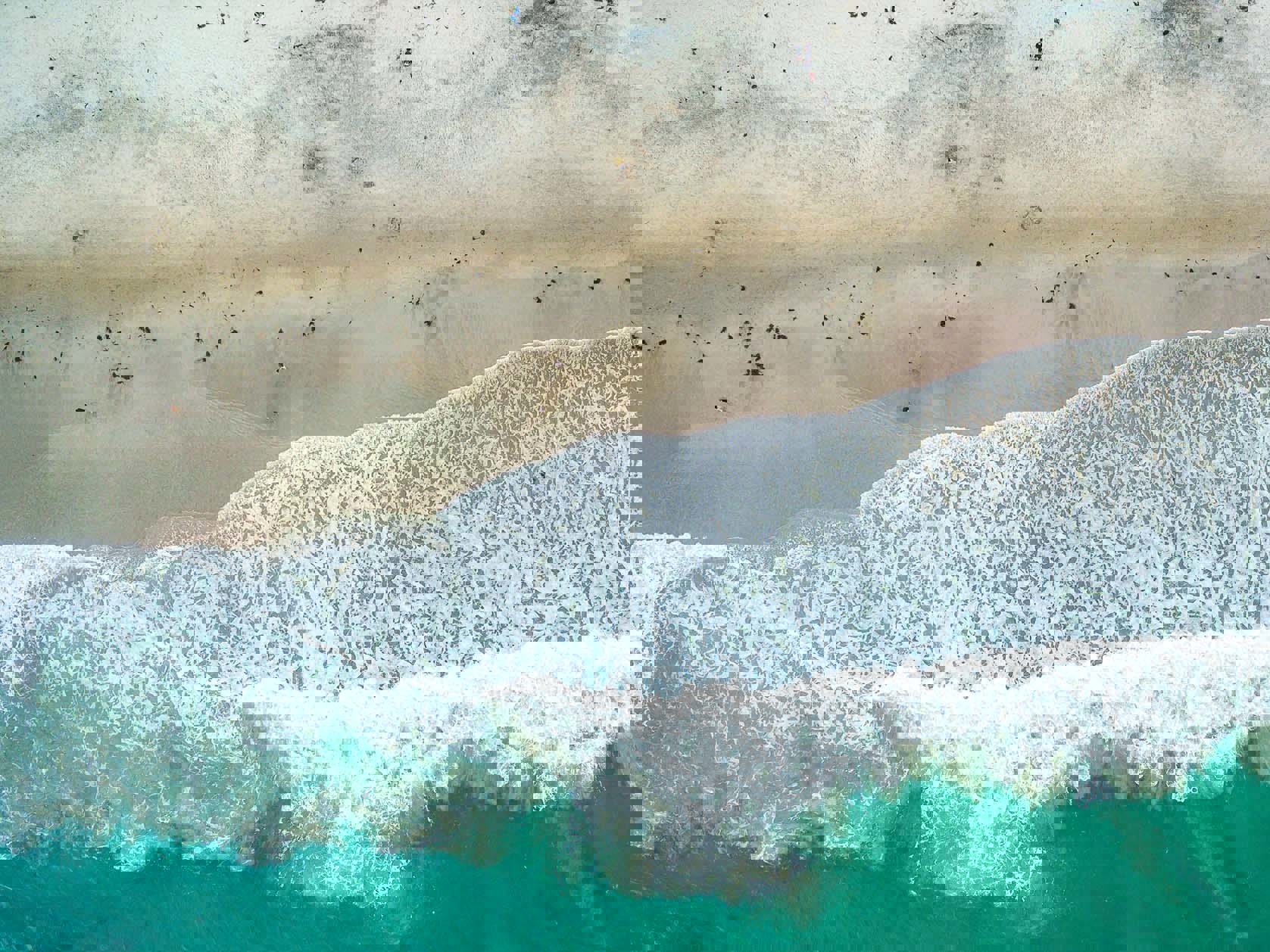 Key insights for insurers: The first wave of climate statements  Mobile Image