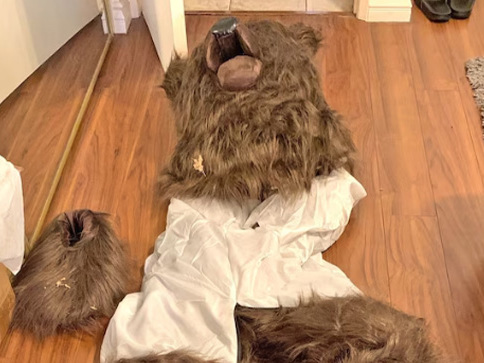 Case study: Bear-faced cheek Mobile Image
