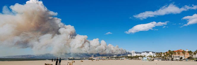 The Los Angeles wildfires: Devastating losses with minimal insurance Desktop Image