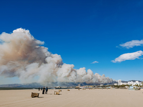 The Los Angeles wildfires: Devastating losses with minimal insurance Mobile Image