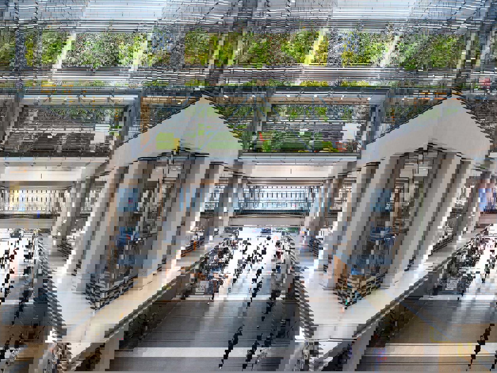 Doing Business in New Zealand Guide 2024 Mobile Image