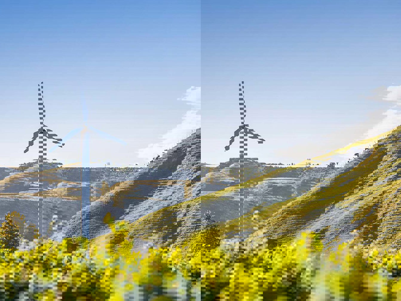 Doing Business in New Zealand Guide 2025 Mobile Image