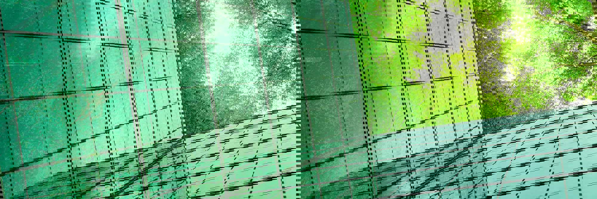 Financing New Zealand’s infrastructure and improved social outcomes Desktop Image