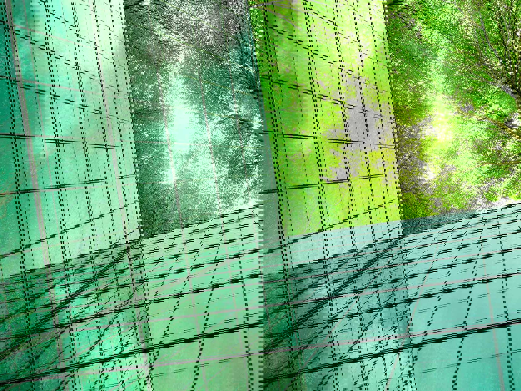 Climate statements: The second cohort Mobile Image
