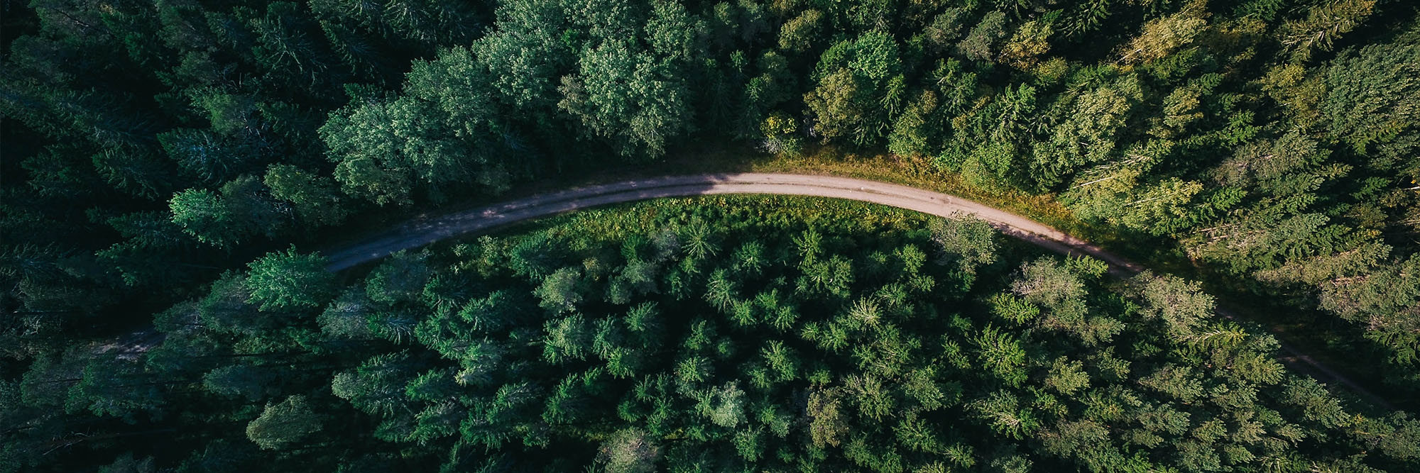 Changes announced to commercial forestry regulations Desktop Image
