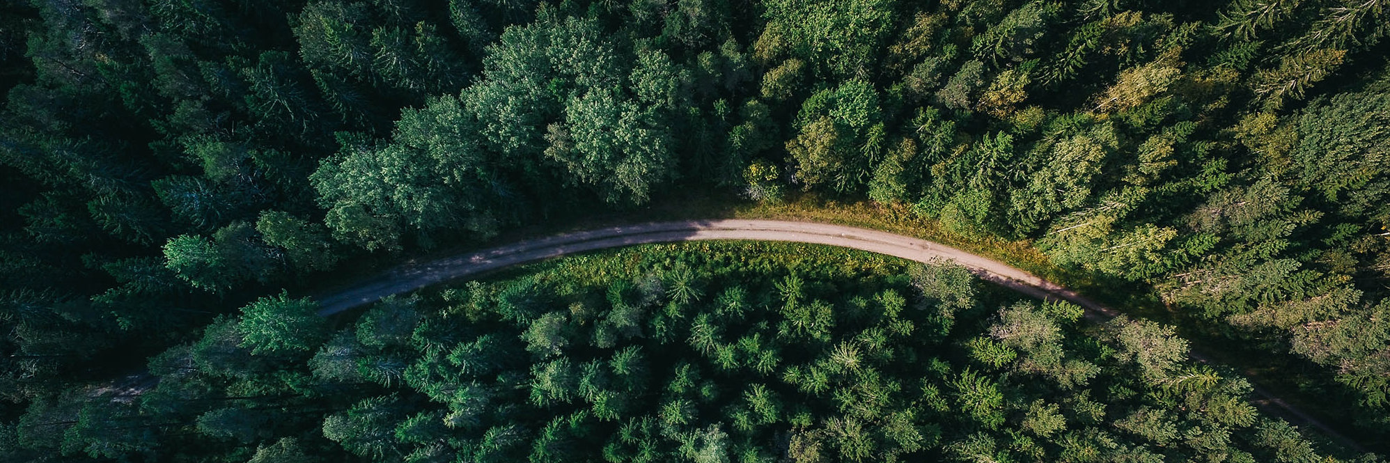 Changes to the ETS to remove agriculture and limit farm-to-forestry conversions  Desktop Image