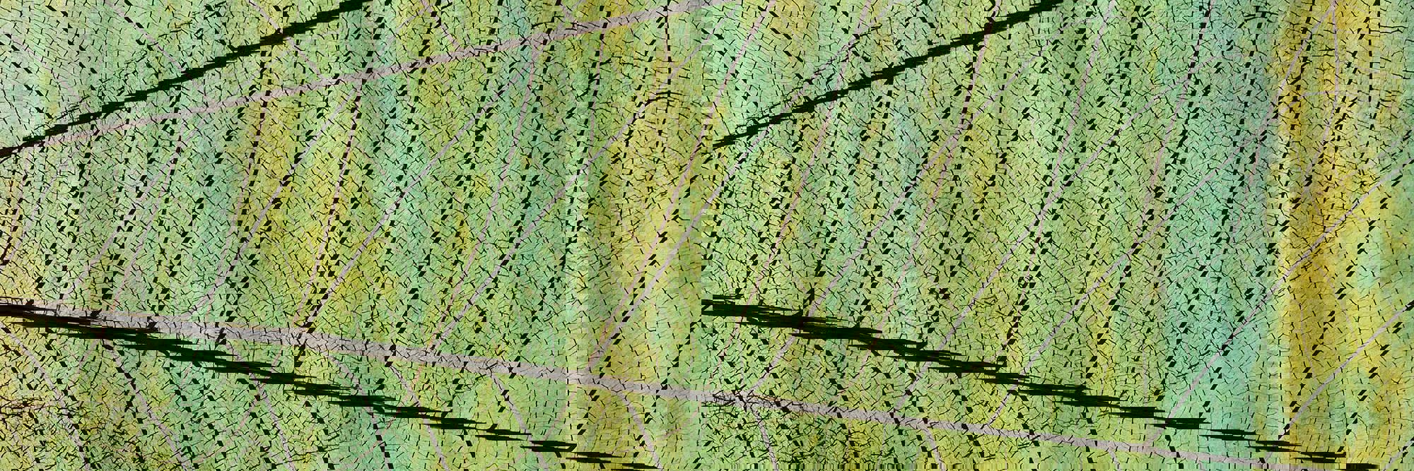 Proposed changes to the Fast-track Approvals regime: What applicants need to know Desktop Image