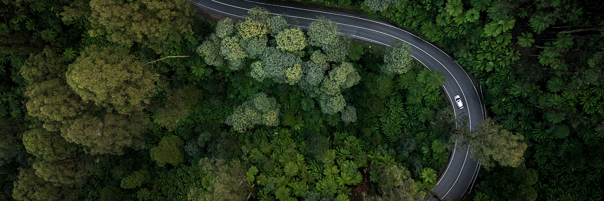 Sustainable Impact: Issue six Desktop Image