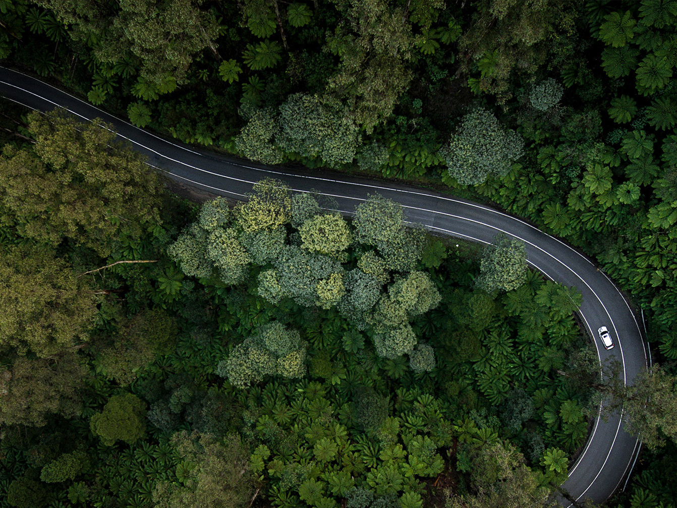Sustainable Impact: Issue six Mobile Image