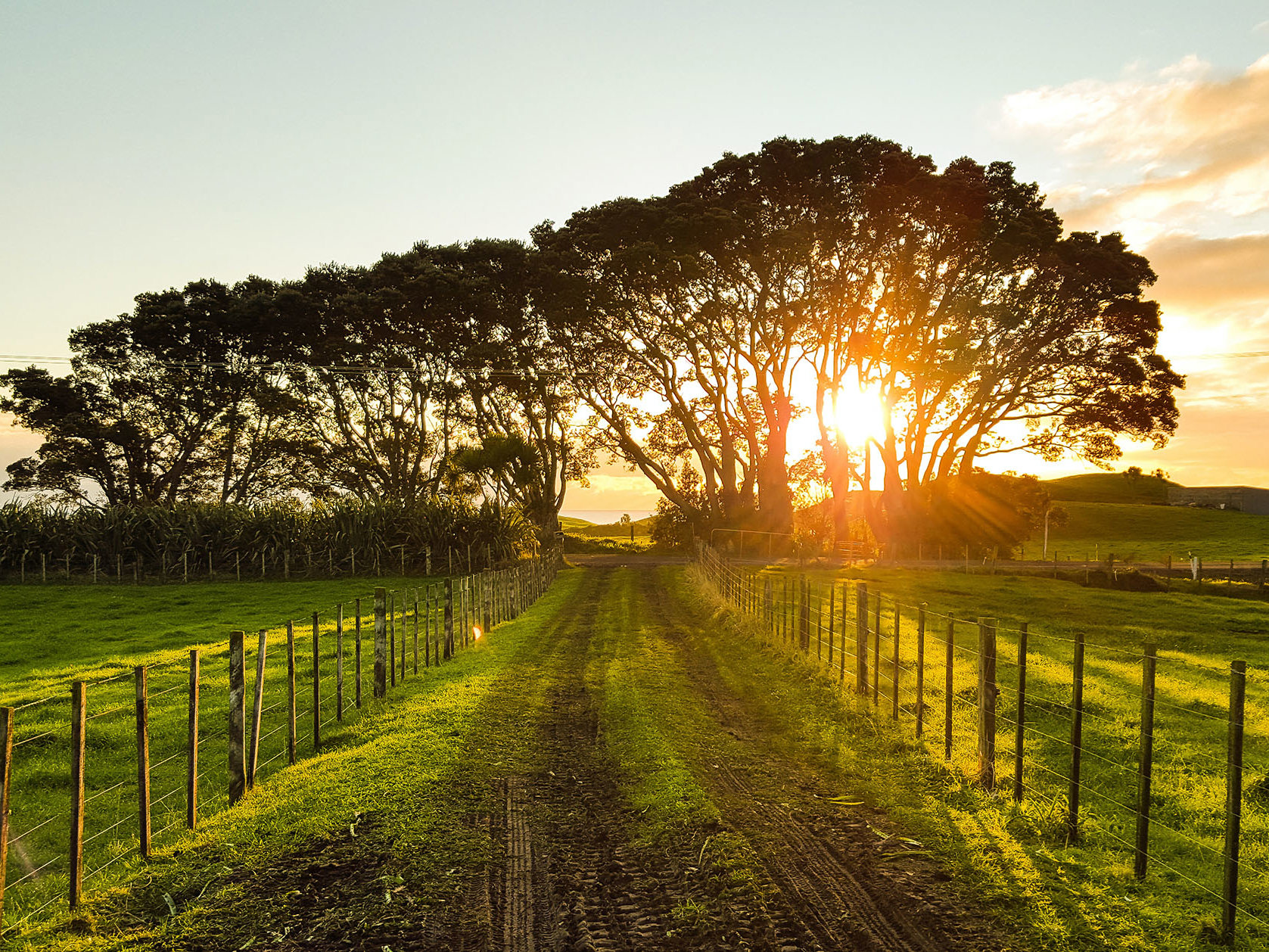 Applications to utilise the new Fast-track approvals process open on 7 February  Mobile Image