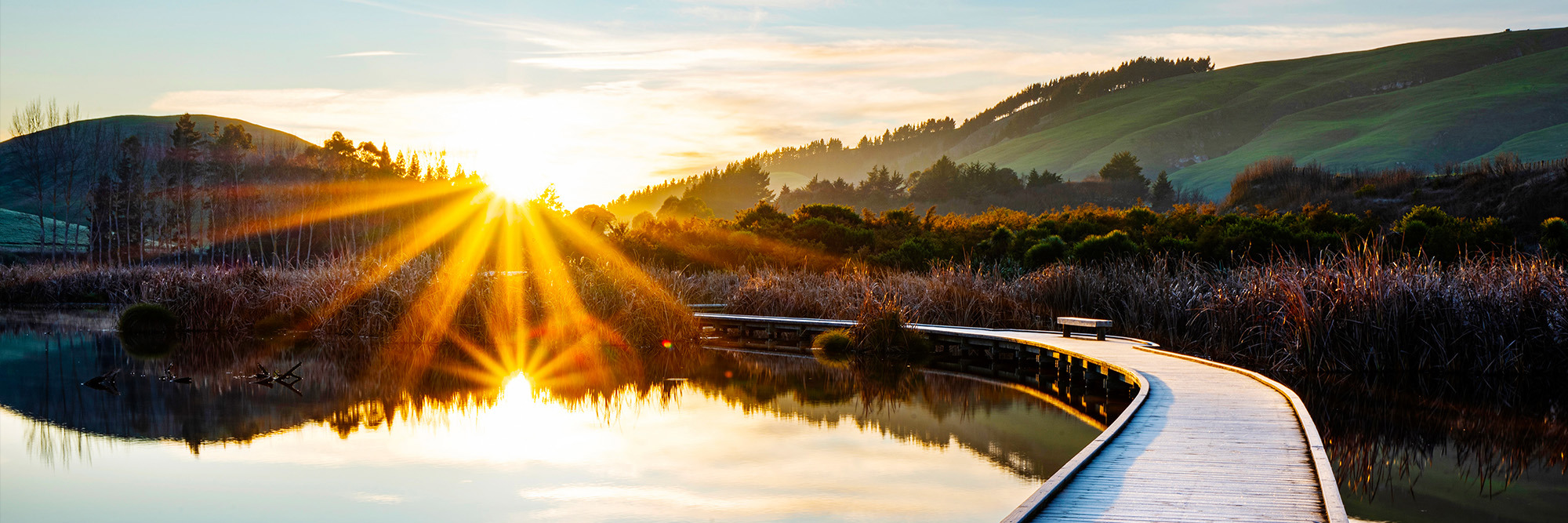 Contract drafting for nature-positive infrastructure  Desktop Image