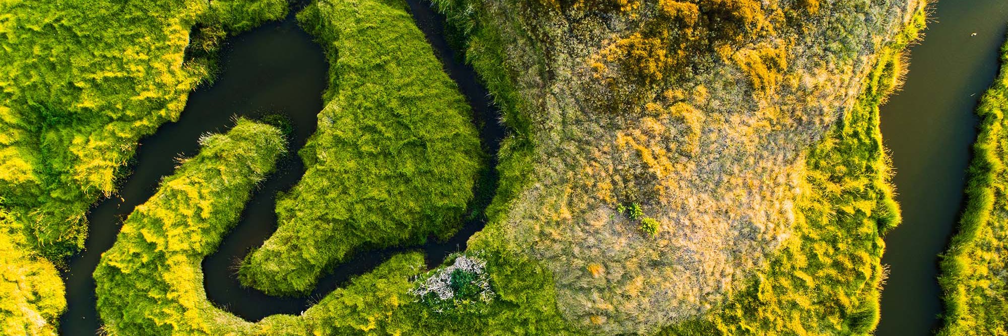 The current picture: New Zealand’s regulatory landscape for nature-positive infrastructure Desktop Image