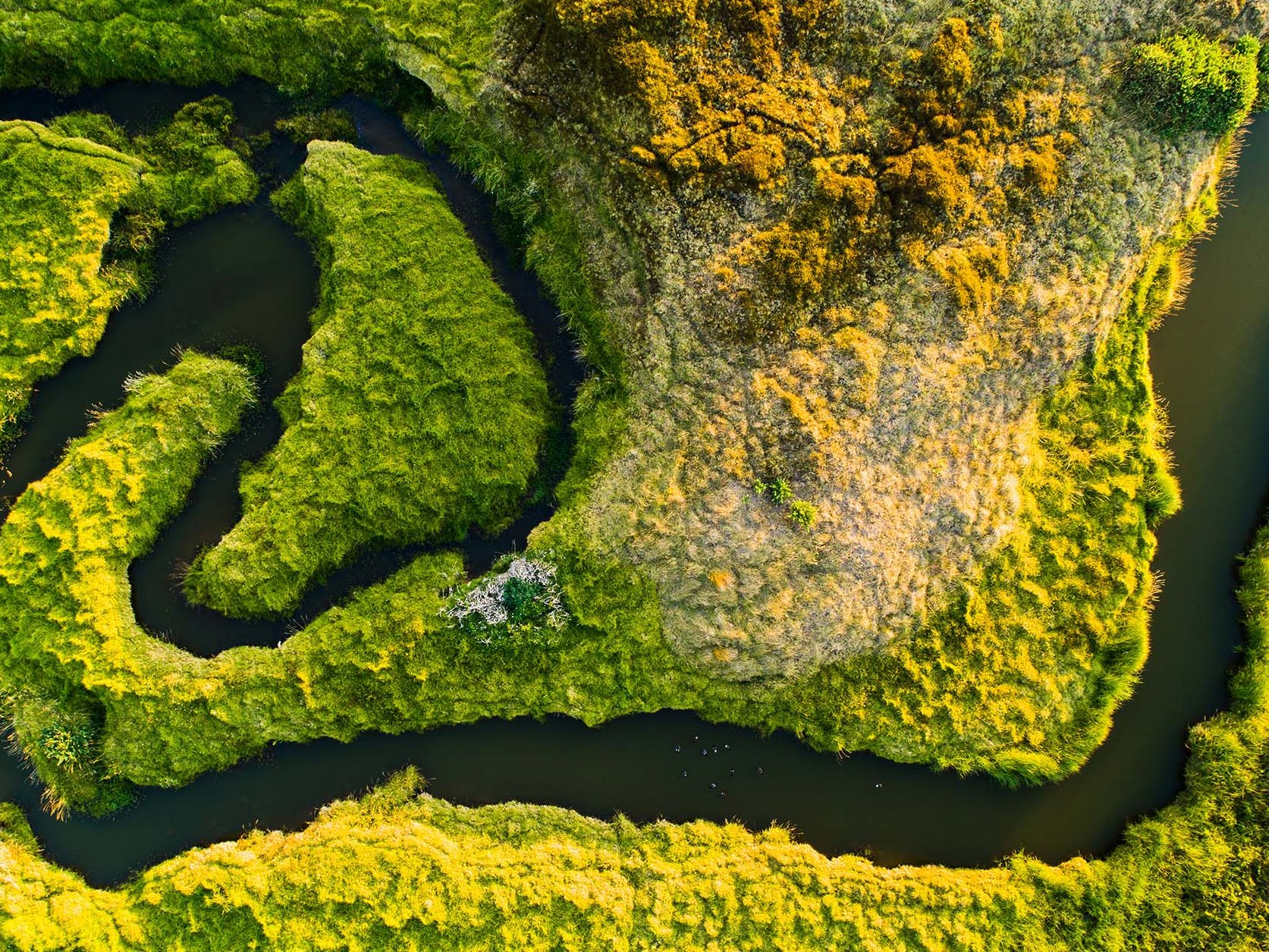 The current picture: New Zealand’s regulatory landscape for nature-positive infrastructure Mobile Image