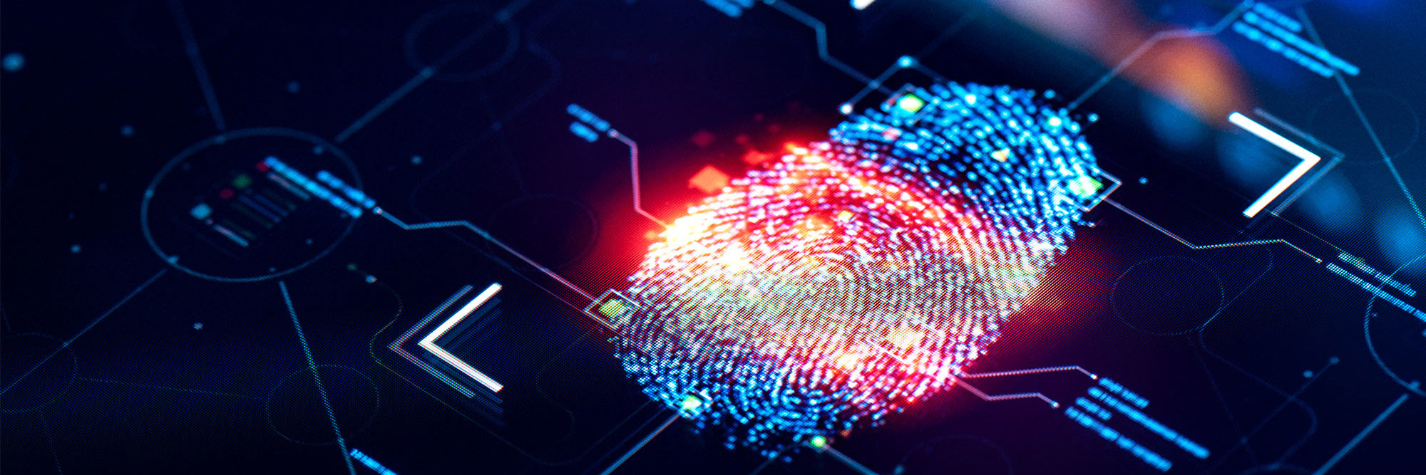 Government greenlights AI adoption: National strategy and guidance to empower business Desktop Image