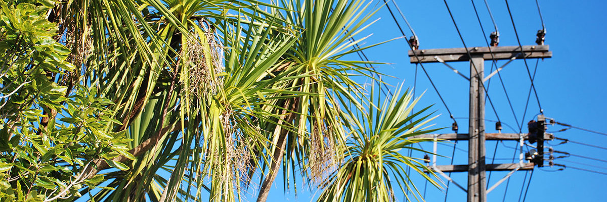 Electrifying New Zealand Desktop Image