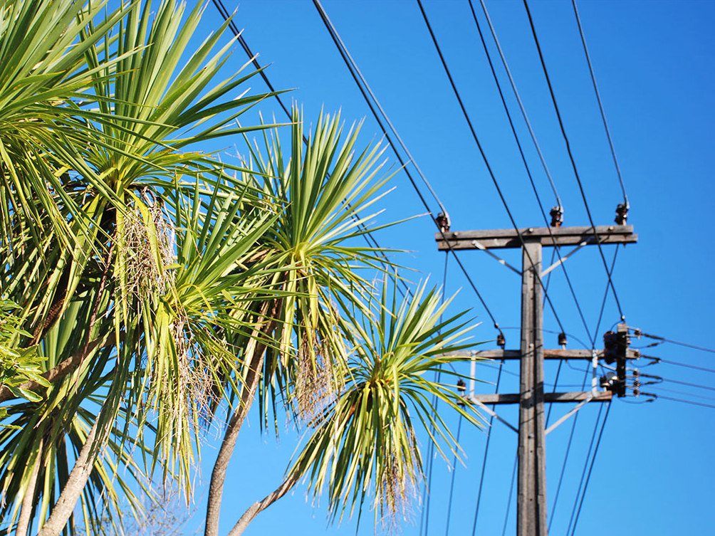 Electrifying New Zealand Mobile Image
