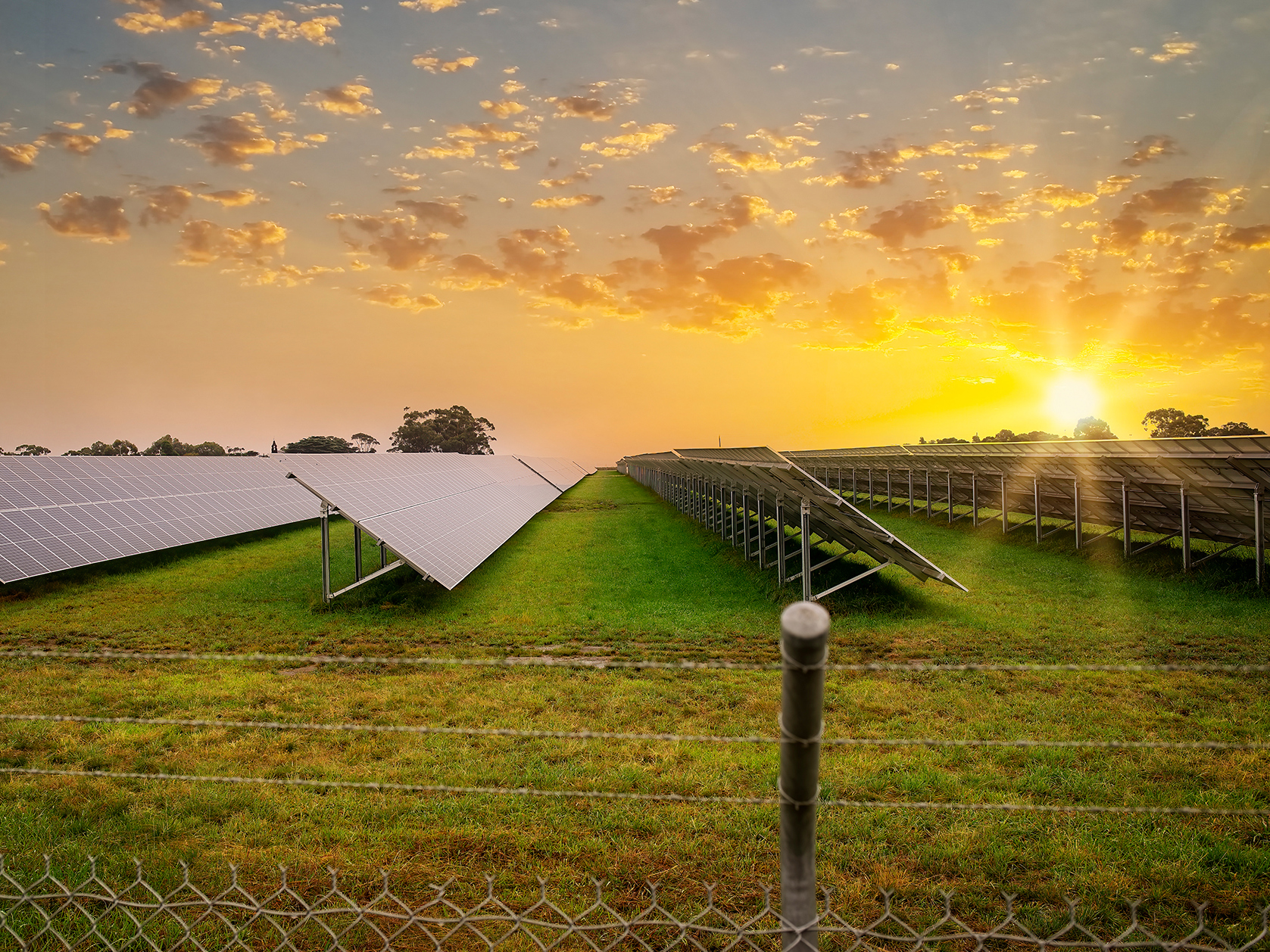 Scaling up solar: What New Zealand can learn from Australia's experience Mobile Image