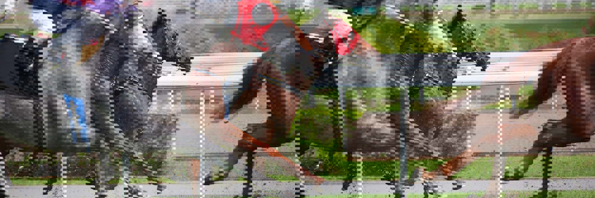 Deductions of furlough payments from insurance entitlements: Court of Appeal clarifies the position Desktop Image