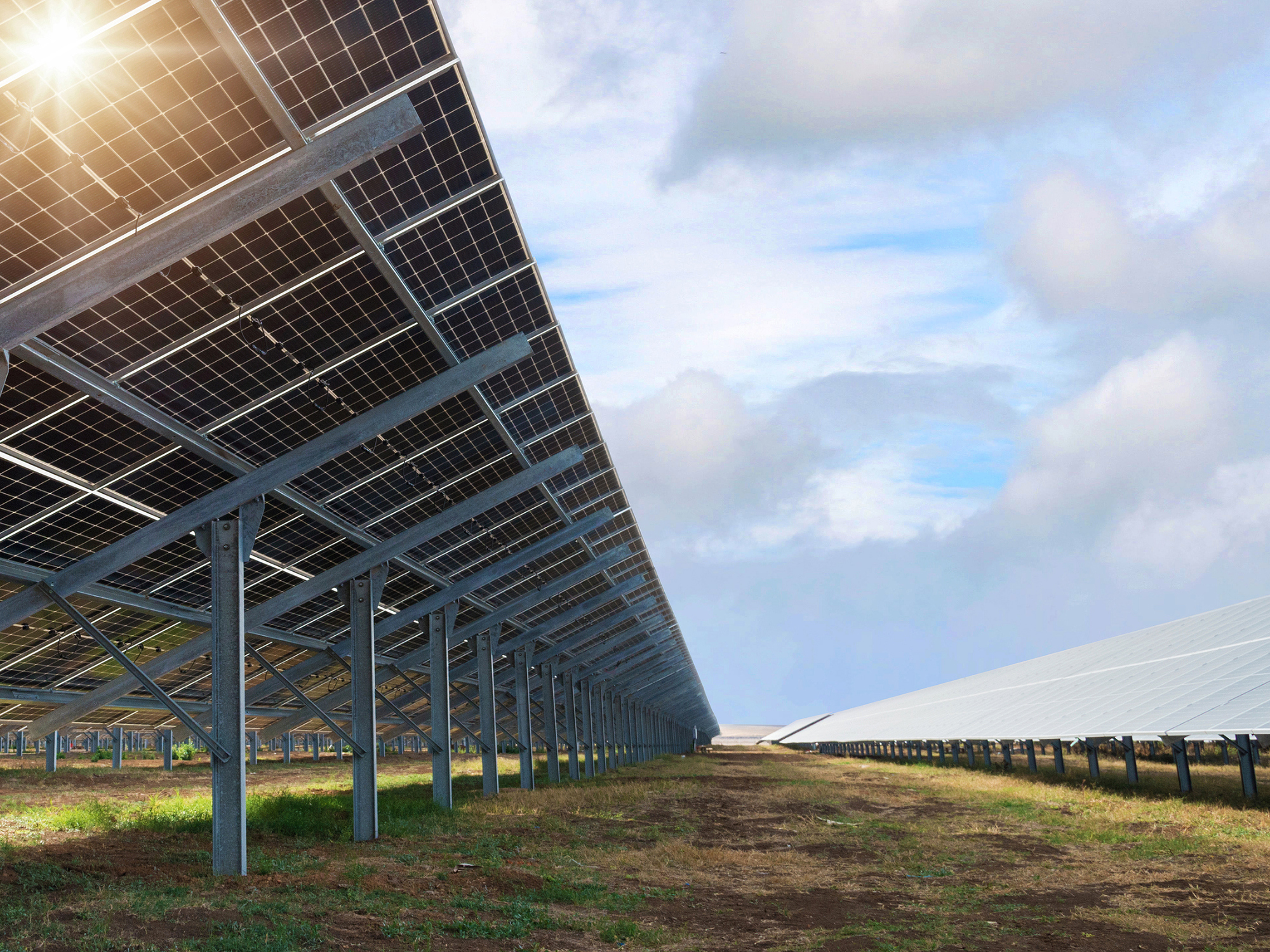M&A in New Zealand’s renewable energy sector Mobile Image