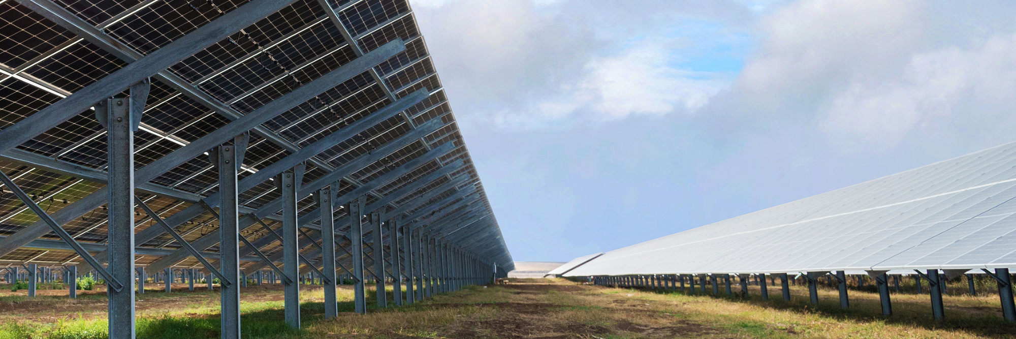 M&A in New Zealand’s renewable energy sector Desktop Image
