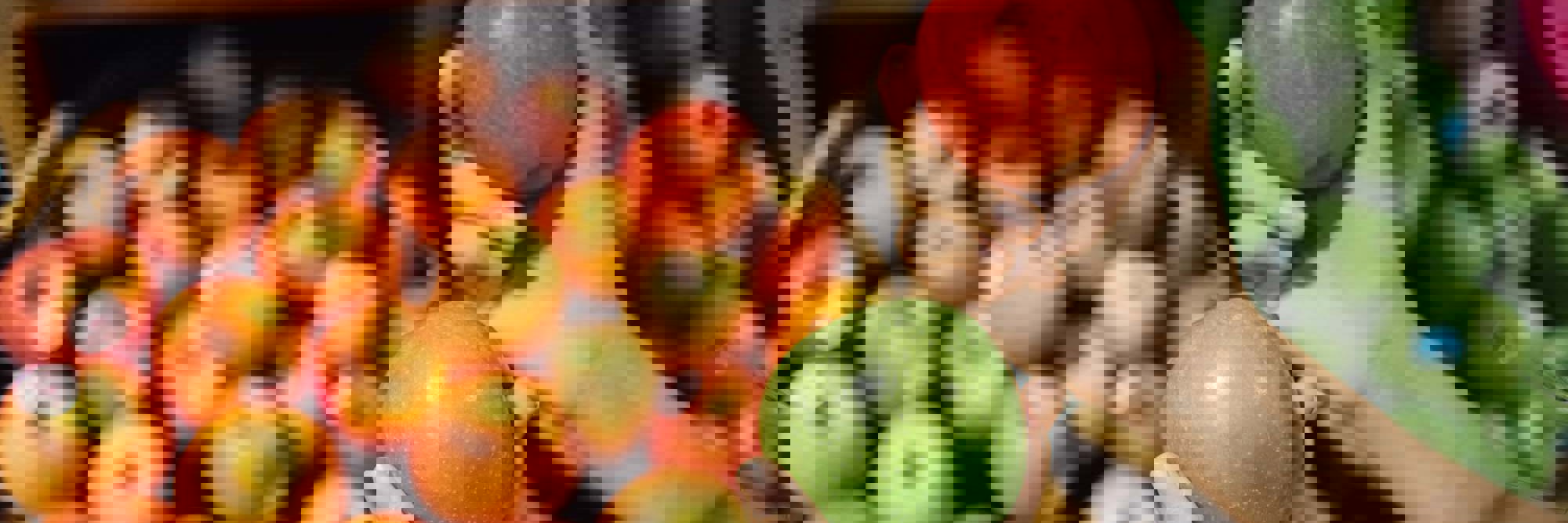 A Commerce Act shake-up and enforcement 'hotspot' set for 2026 Desktop Image