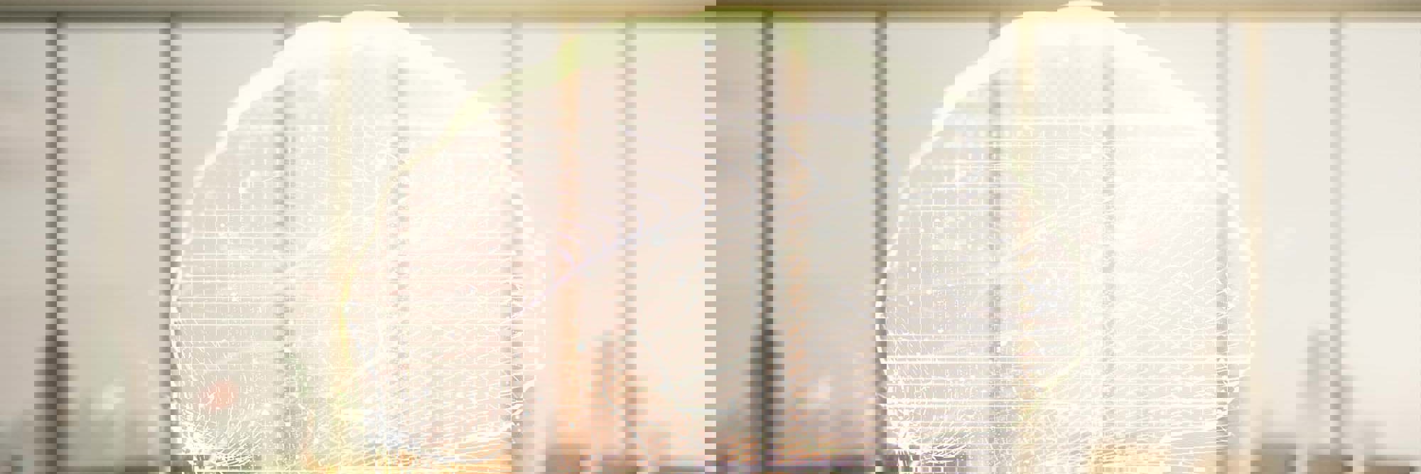 Obsessive and vexatious litigants Desktop Image