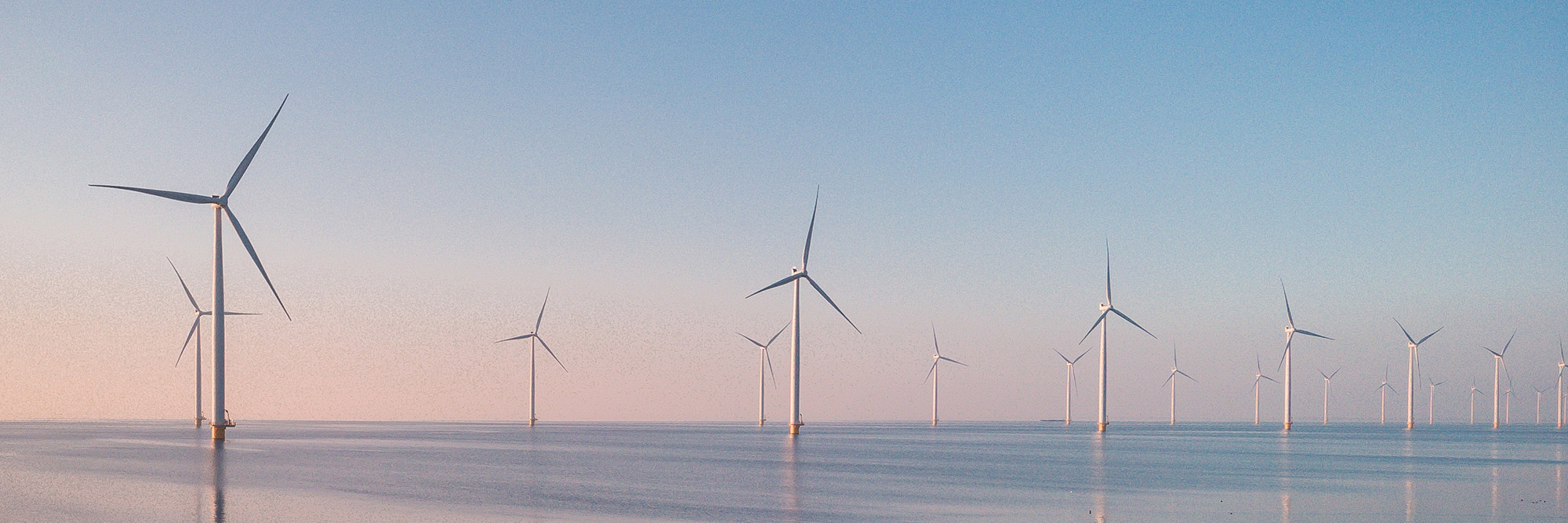 Harnessing our potential: BlueFloat Energy’s vision for offshore wind in New Zealand Desktop Image