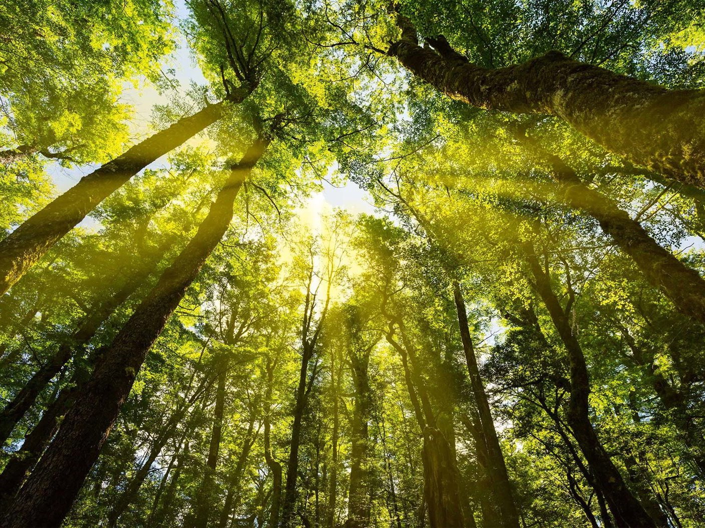 Emission Reduction Plan 2026-2030: Consultation opens for the second budget period Mobile Image