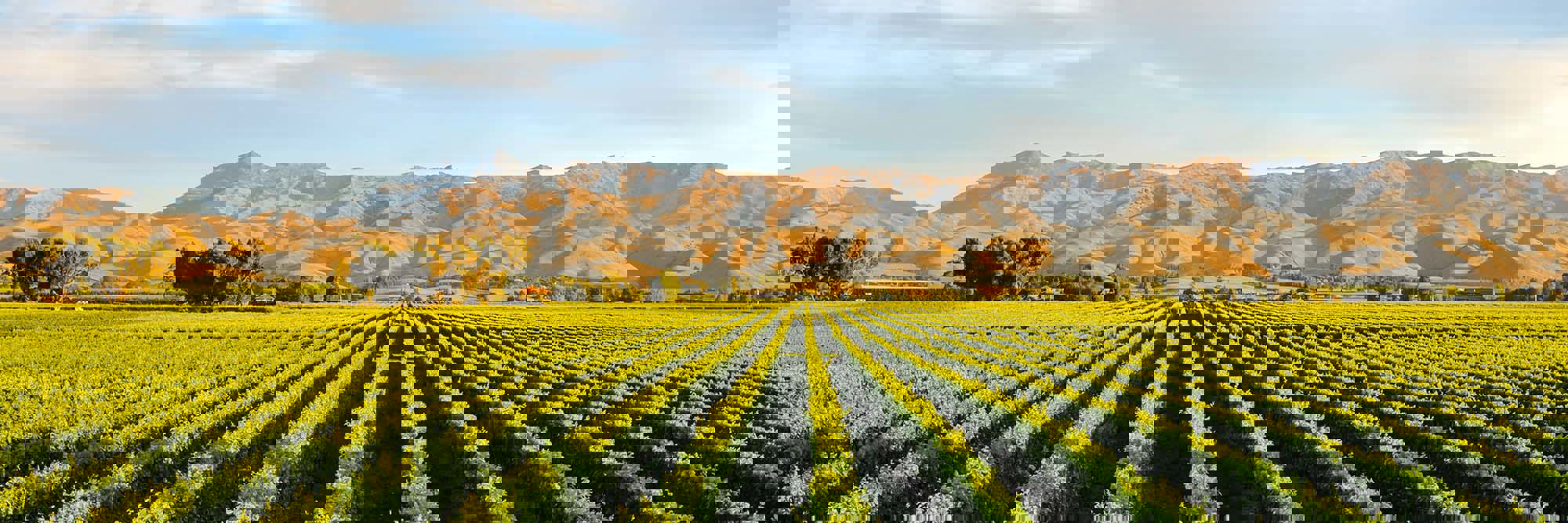 Reform of the New Zealand foreign investment regime Desktop Image
