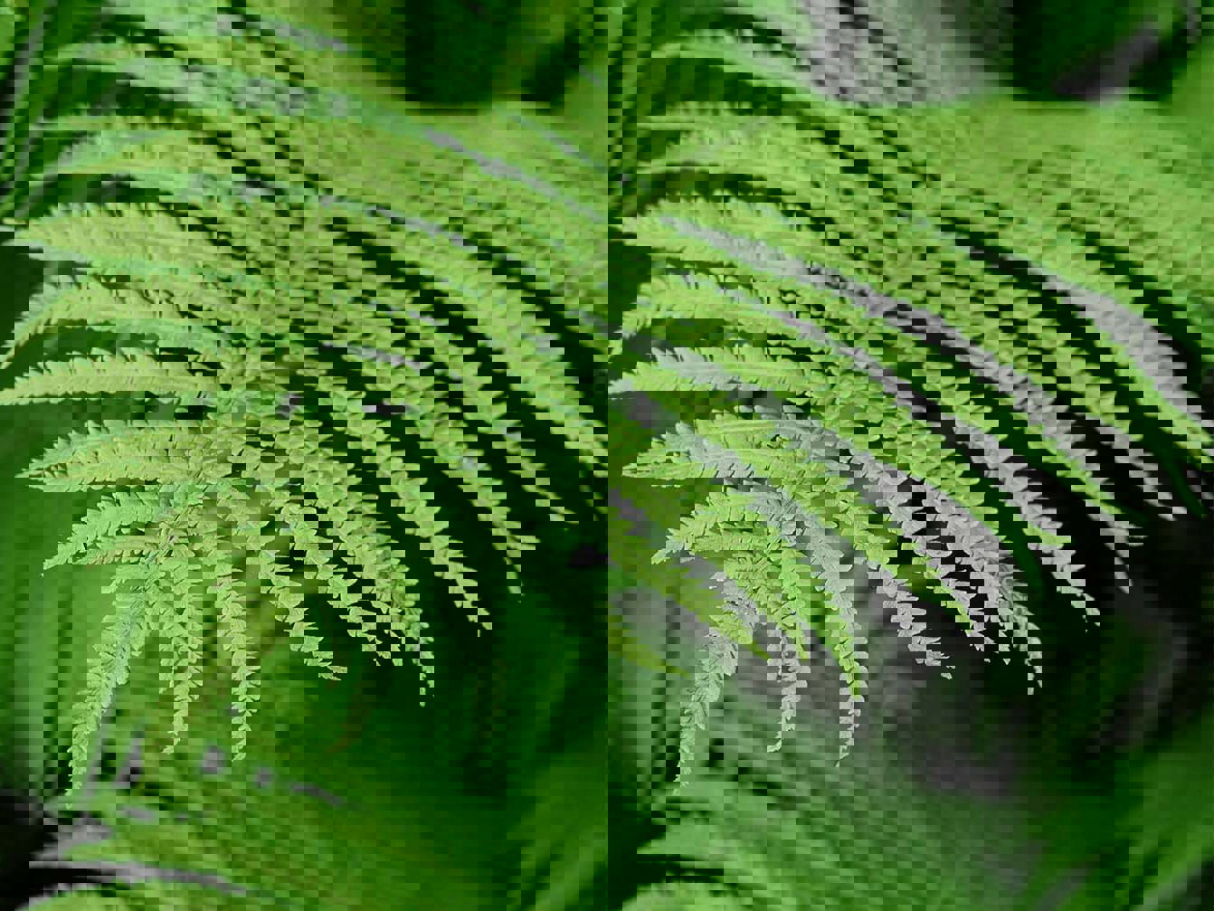 Nature-positive infrastructure series Mobile Image