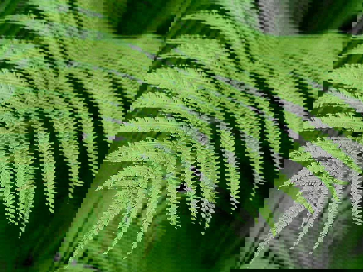 Sustainability resources Mobile Image